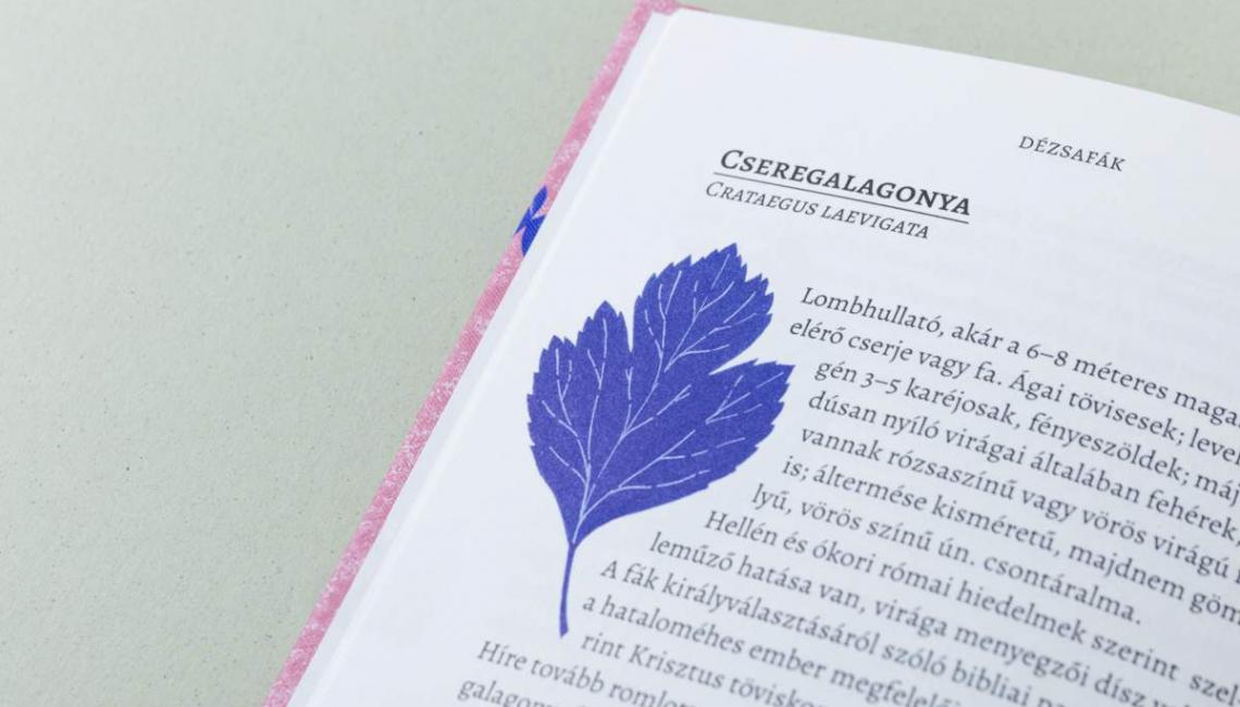 Belvárosi Növényvilág