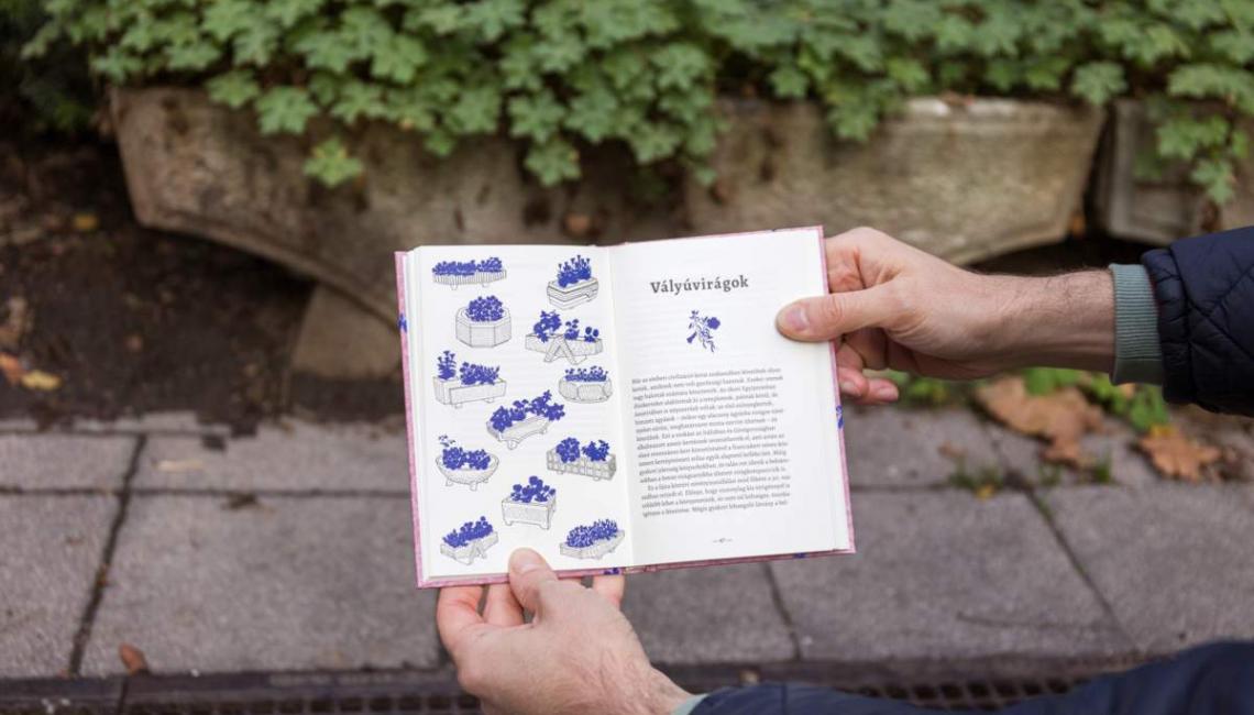 Belvárosi Növényvilág